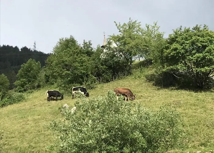 Apartment Apartmant Mary Muhlebach